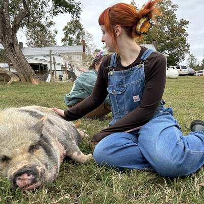 kitchensink011 picture