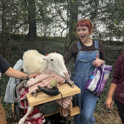 kitchensink011 picture