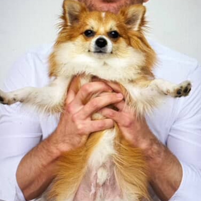 vincenttremblay picture