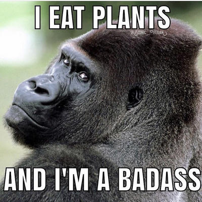 ChrisDeFrancesco picture