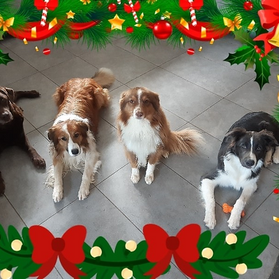 ReinerMatthes picture