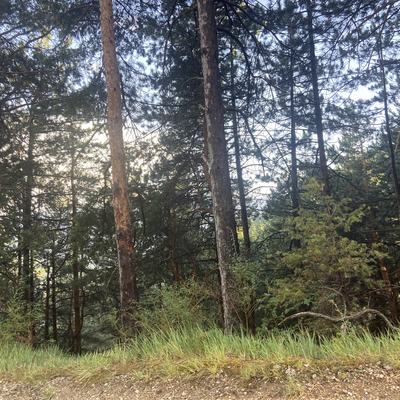 AnnaLisaPosanzini picture