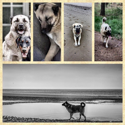 MoniqueRaats picture