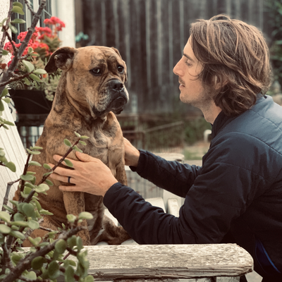 NorthBeachJuicery picture