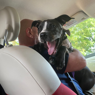 MollyLambert picture