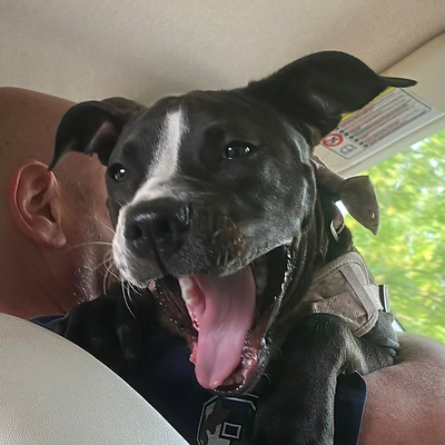 MollyLambert picture