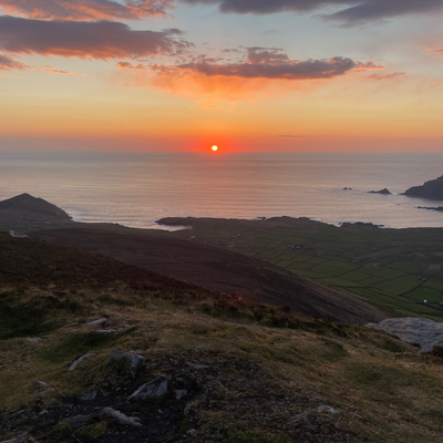 Darach picture