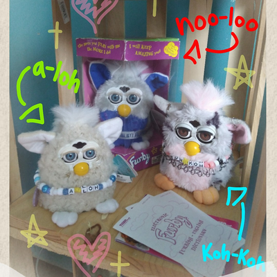 wingleheimer picture