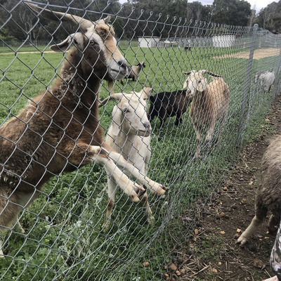 ClaireWalsh82 picture