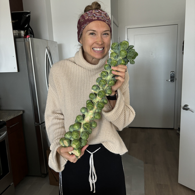 LindsayElizabeth picture