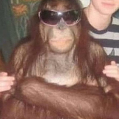 JavierMatoses picture