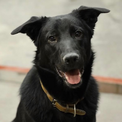 AsukaThongkorn picture