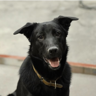 AsukaThongkorn picture