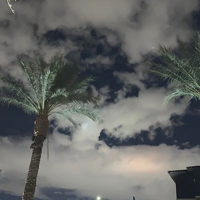 happyvegasvegan picture