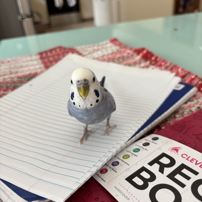 EileenGonzalez picture