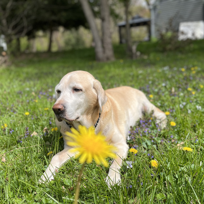 CatherineCourtney picture