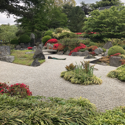 StephenHoldgate picture