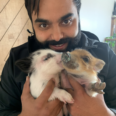 SeyyedSharifi picture