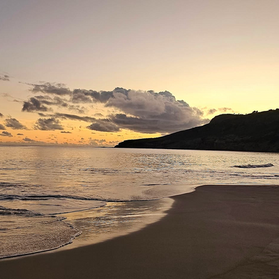 theblonde_n__thebeard picture