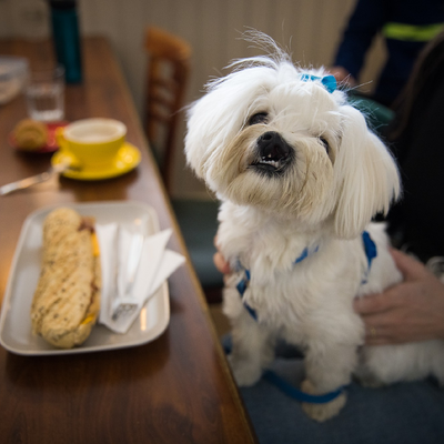 ValkyrjanBistro&bar picture