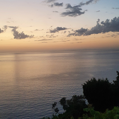 MichaelaWeidmann picture