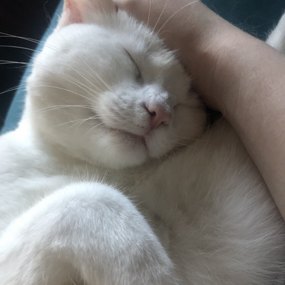 ossiagustina picture