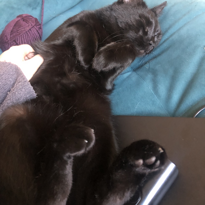 ossiagustina picture