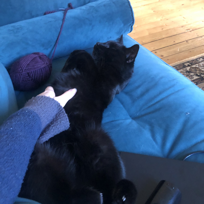 ossiagustina picture