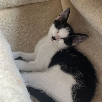 ossiagustina picture