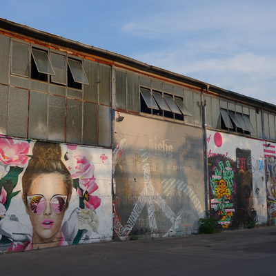 WalkWithUsTours picture