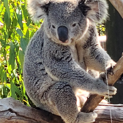 AprilMillikenMacKin picture