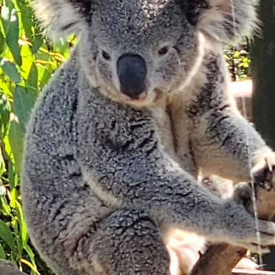 AprilMillikenMacKin picture