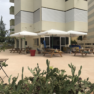 Bar55Ibiza picture