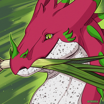 Lauchdrache picture