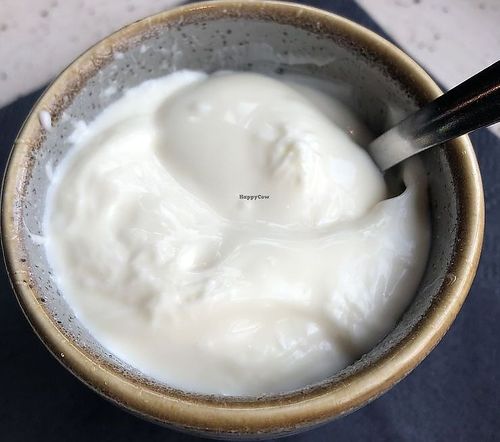 Soy Mayonnaise - Healthy Vegan Recipes - HappyCow