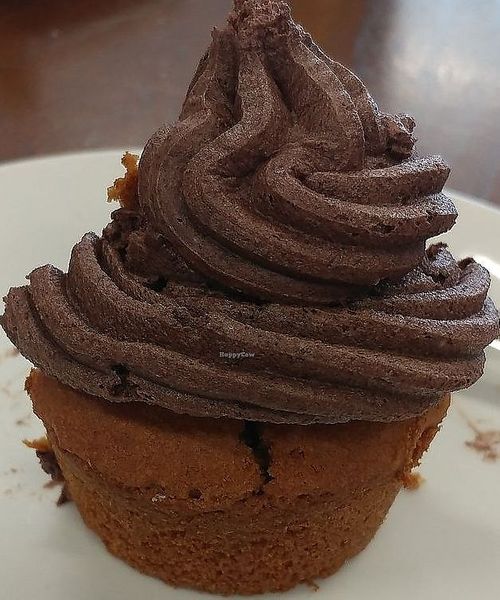 Chocolate Frosting - Healthy Vegan Recipes - HappyCow