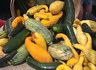 Pistachio and Courgette Squash Pesto - Healthy Vegan Recipes - HappyCow