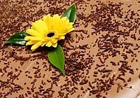 Almond Carob Pudding - Healthy Vegan Recipes - HappyCow