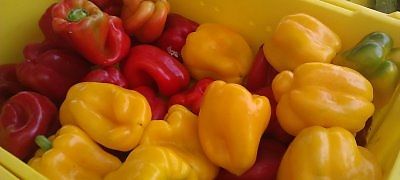 Bell Pepper Ketchup - Healthy Vegan Recipes - HappyCow