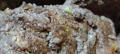 Banana Bread with Nuts - Healthy Vegan Recipes - HappyCow