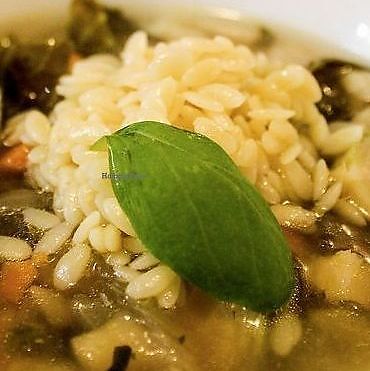 Greek Lemon Orzo Soup - Healthy Vegan Recipes - HappyCow