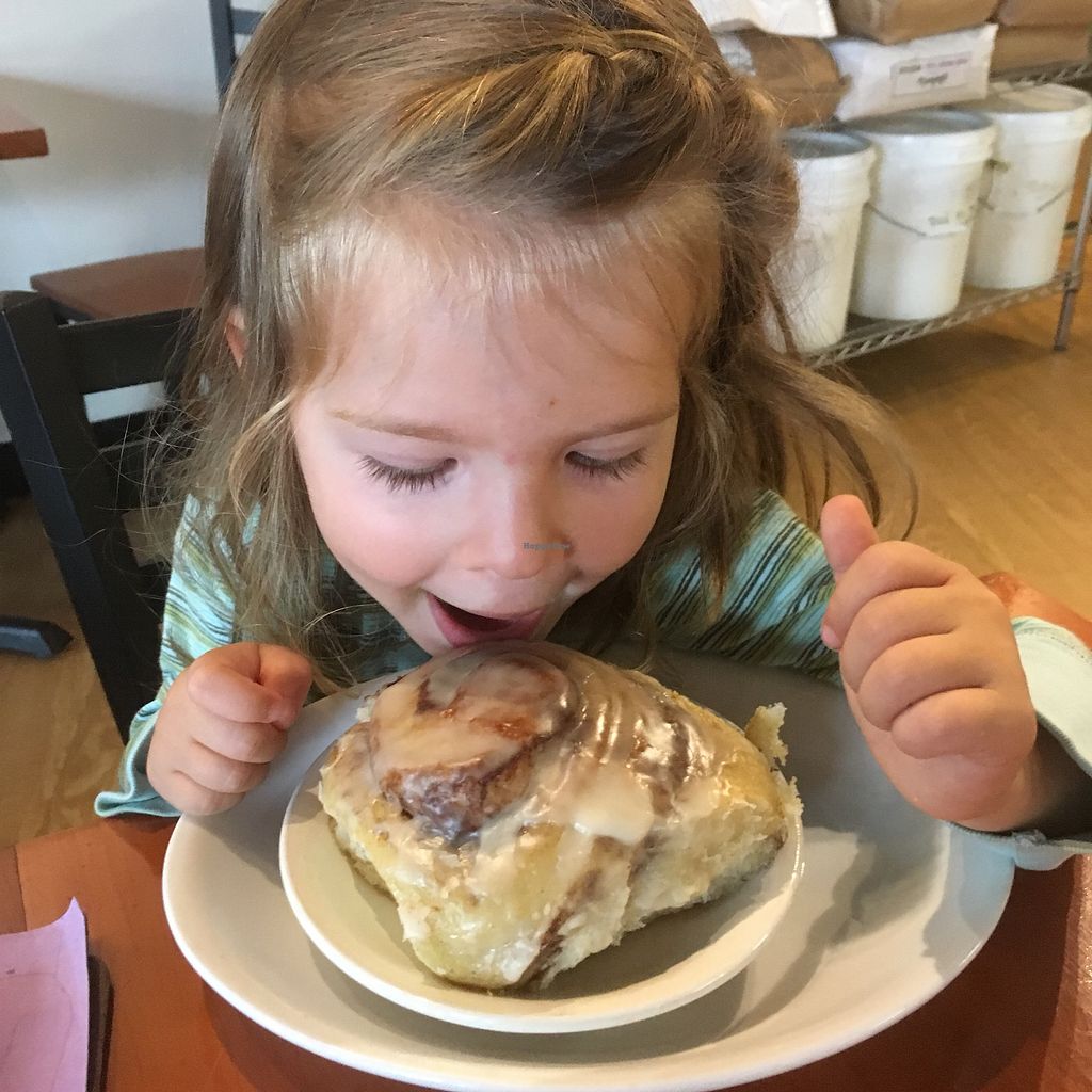 CLOSED Knead Bakery Burlington Vermont Restaurant HappyCow