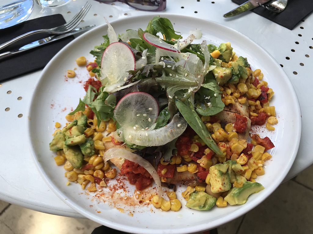 CLOSED Iron Pot Bay Vineyard Rowella Tasmania Restaurant HappyCow