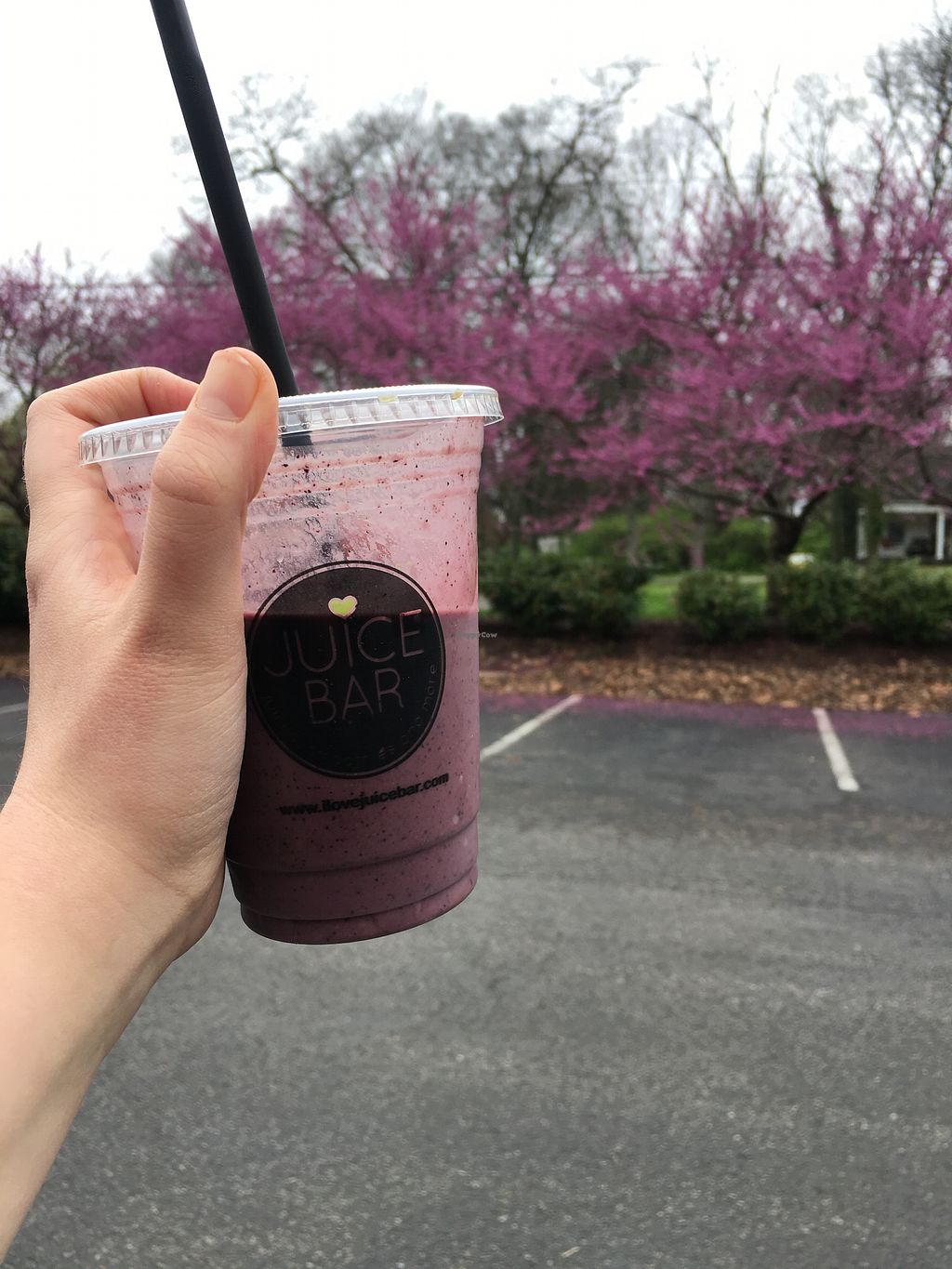 CLOSED Juice Bar Spring Hill Tennessee Juice Bar HappyCow