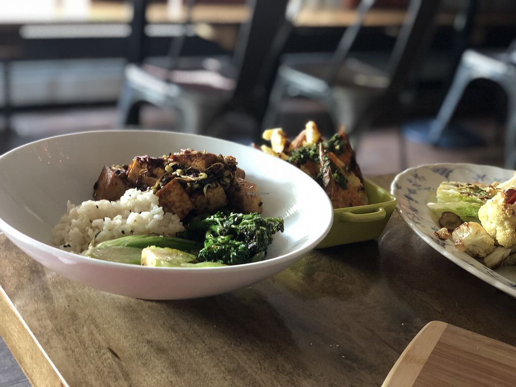 Plate Stowe Vermont Restaurant HappyCow