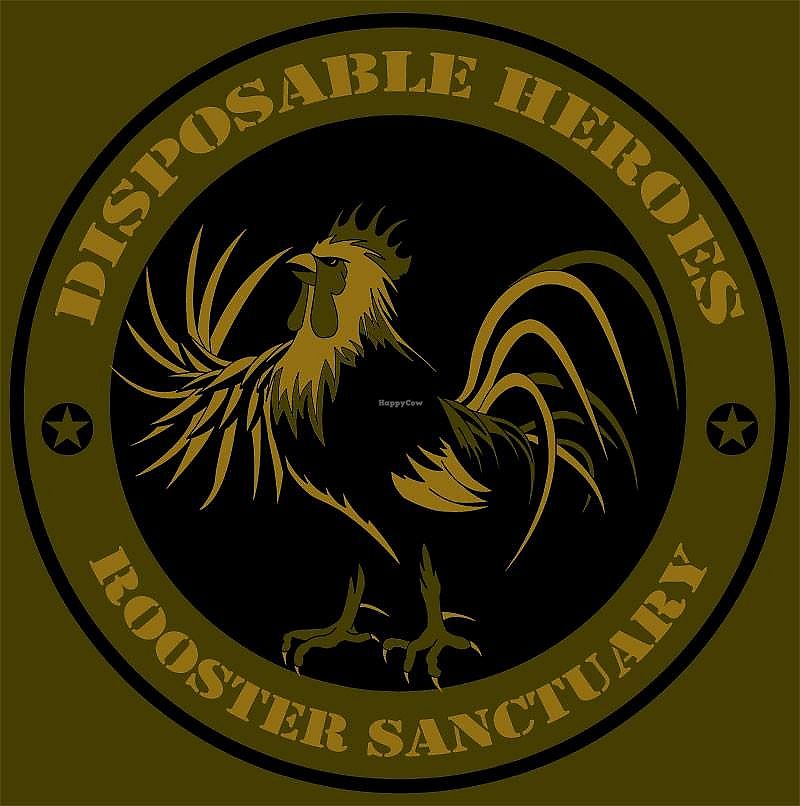 Disposable Heroes Rooster Sanctuary Mogood New South Wales