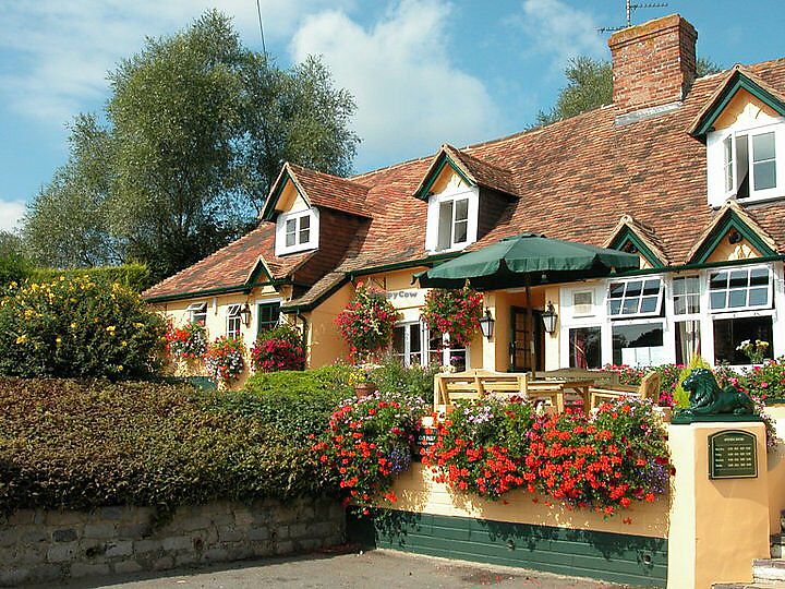 The Drum Inn Torquay Restaurant HappyCow