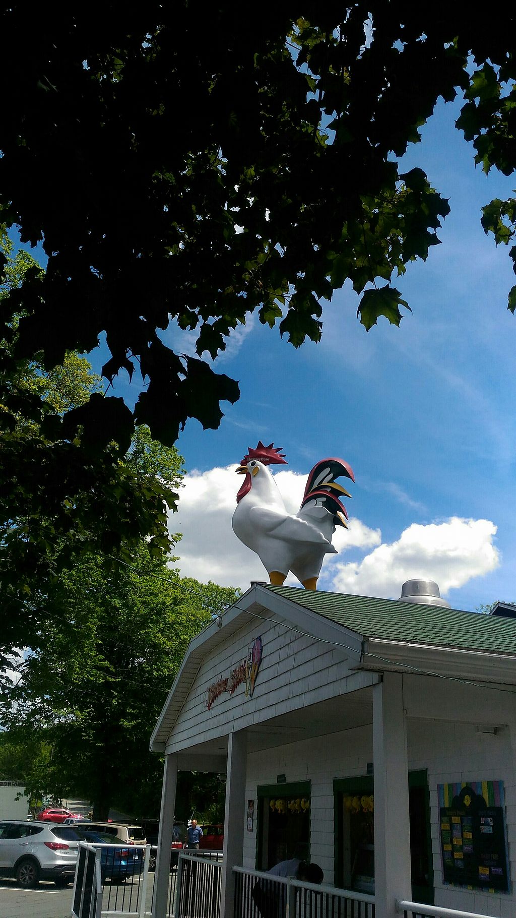 Chicken Little Ice Cream Bedford Nova Scotia Ice Cream HappyCow