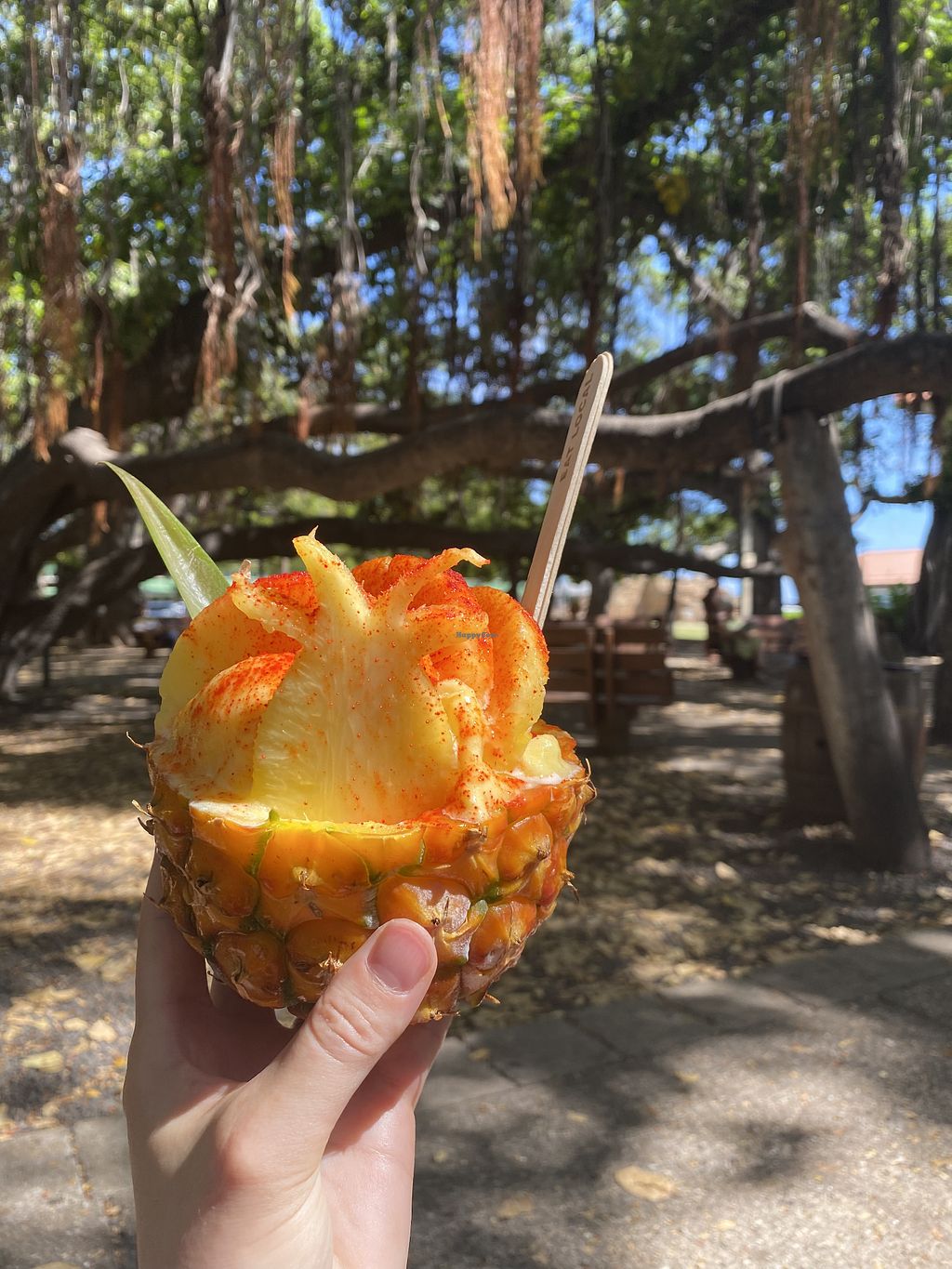 CLOSED Maui Pineapple Store Lahaina Hawaii Other HappyCow
