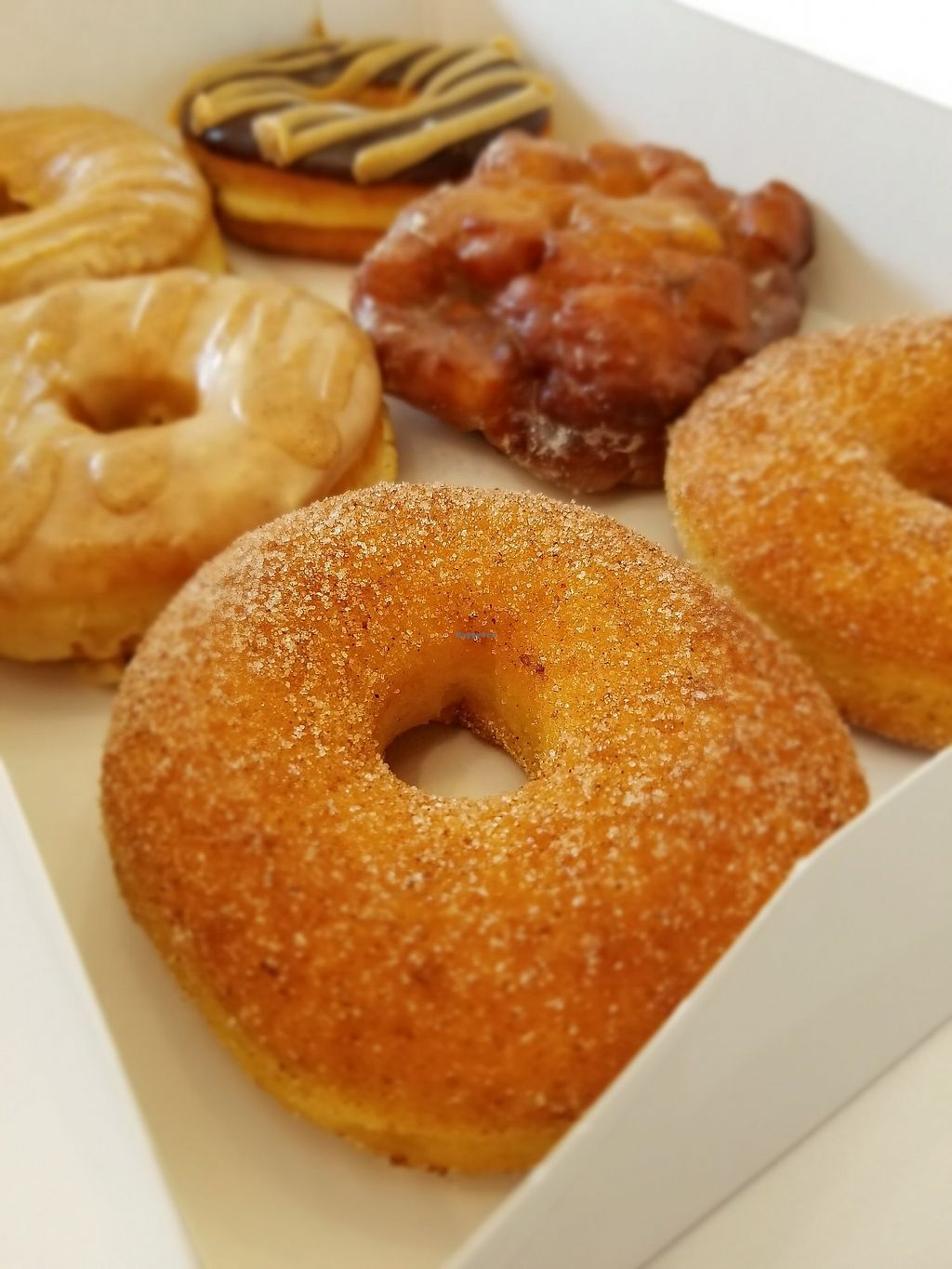 CLOSED Doughboy Bakery and Cafe Hamilton Ontario Restaurant HappyCow